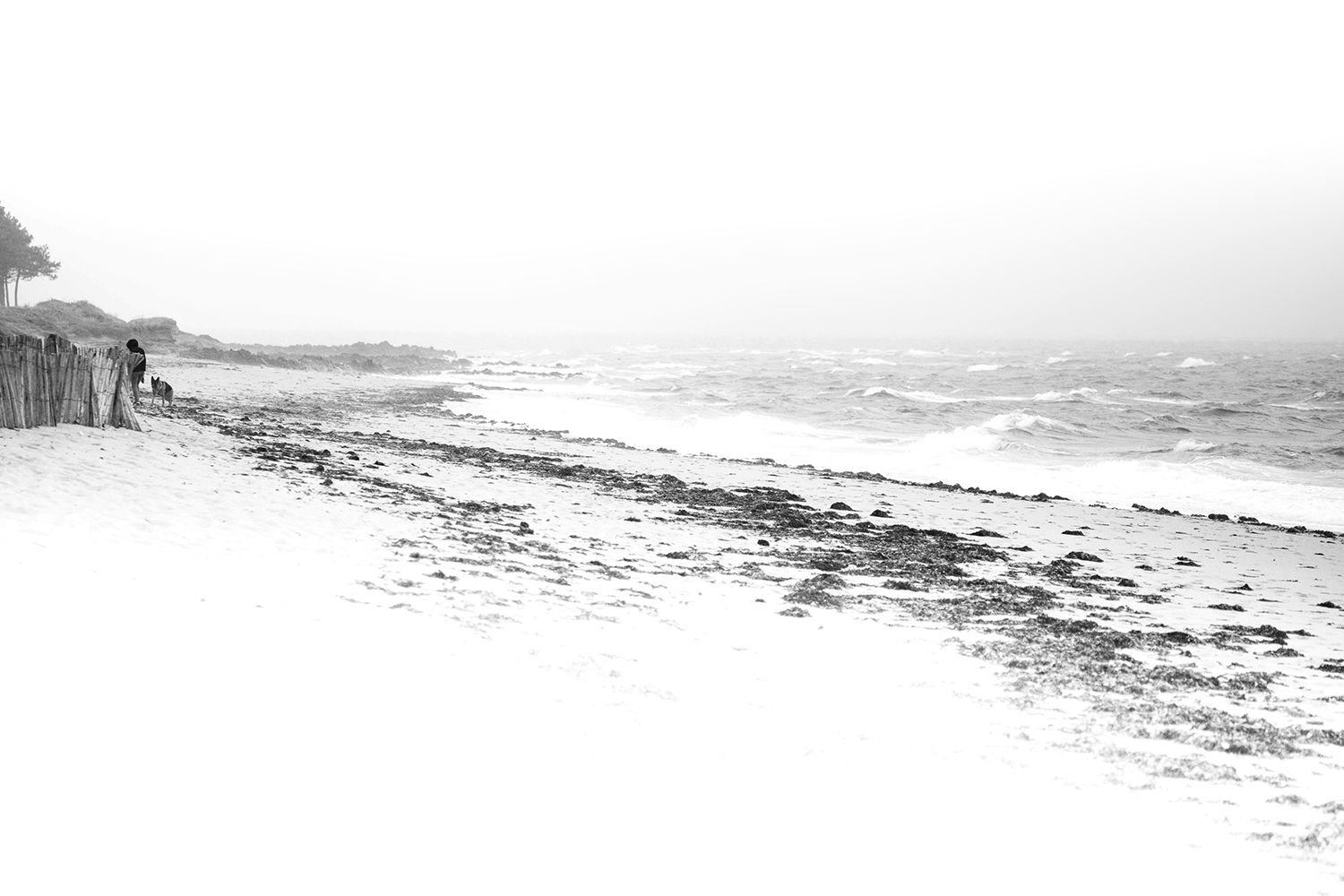Hiver Noir et Blanc Hiver Noir et Blanc
