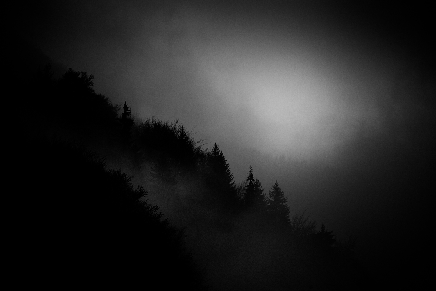 Noir Brut Noir Brut
