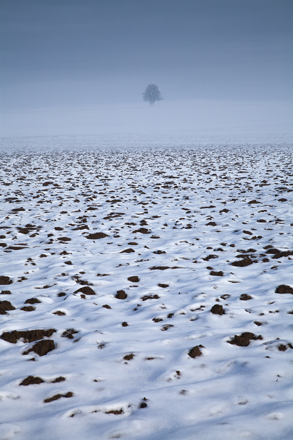 Hiver Couleur Hiver Couleur