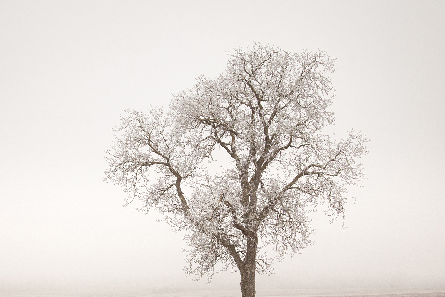 Hiver Couleur Hiver Couleur