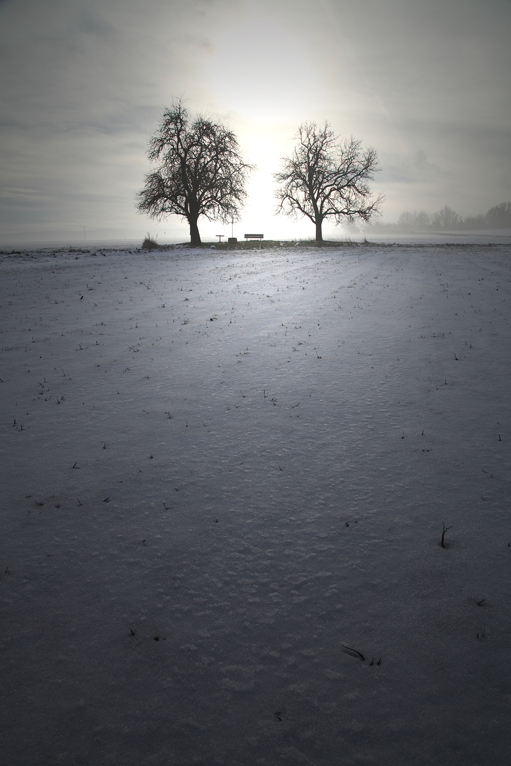 Hiver Couleur Hiver Couleur