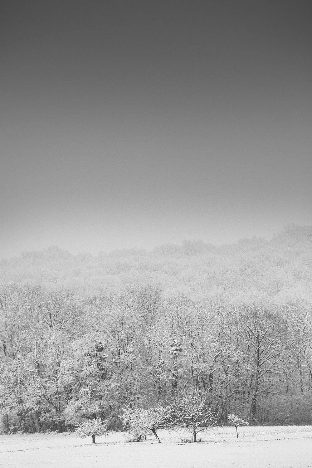 Hiver Noir et Blanc