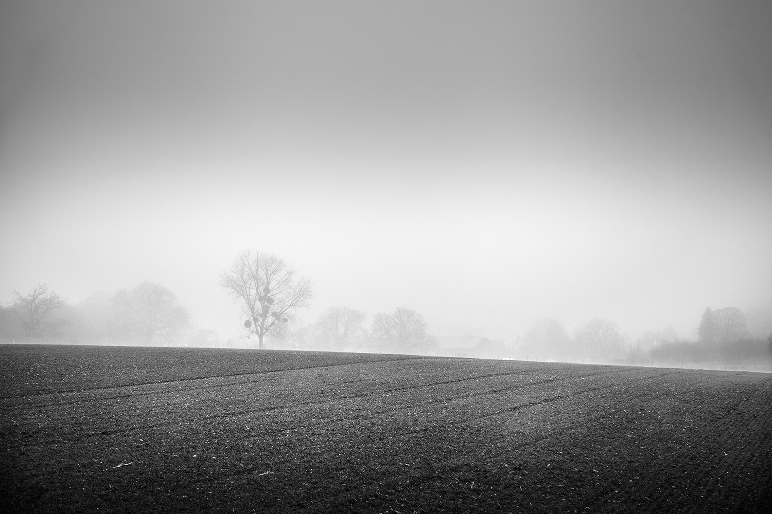 Hiver Noir et Blanc Hiver Noir et Blanc