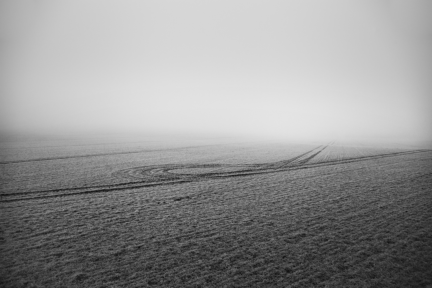 Hiver Noir et Blanc Hiver Noir et Blanc