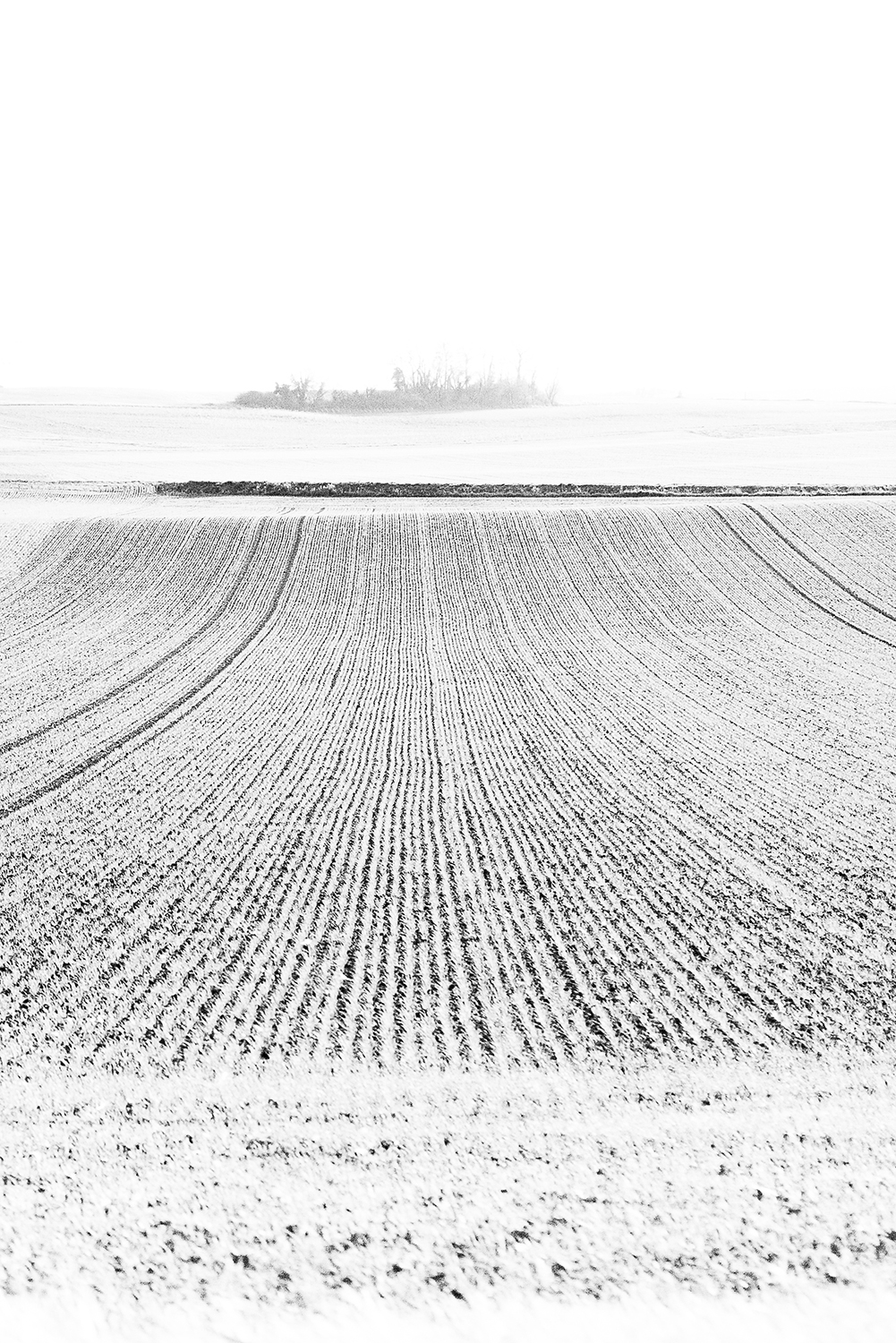 Hiver Noir et Blanc Hiver Noir et Blanc