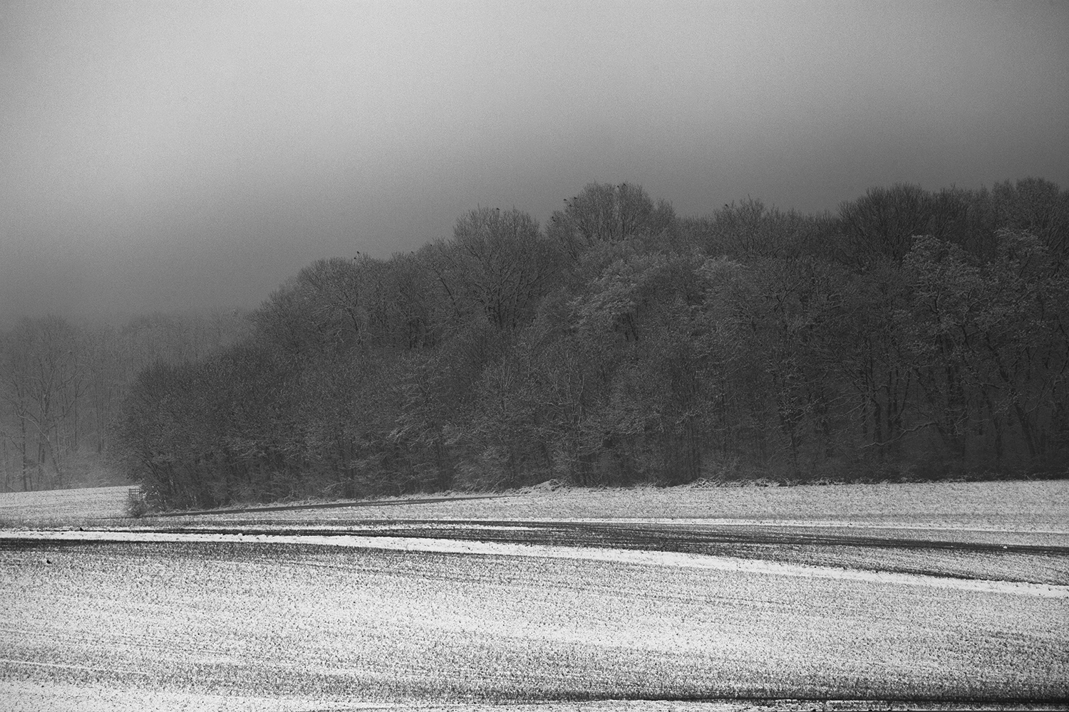 Hiver Noir et Blanc Hiver Noir et Blanc