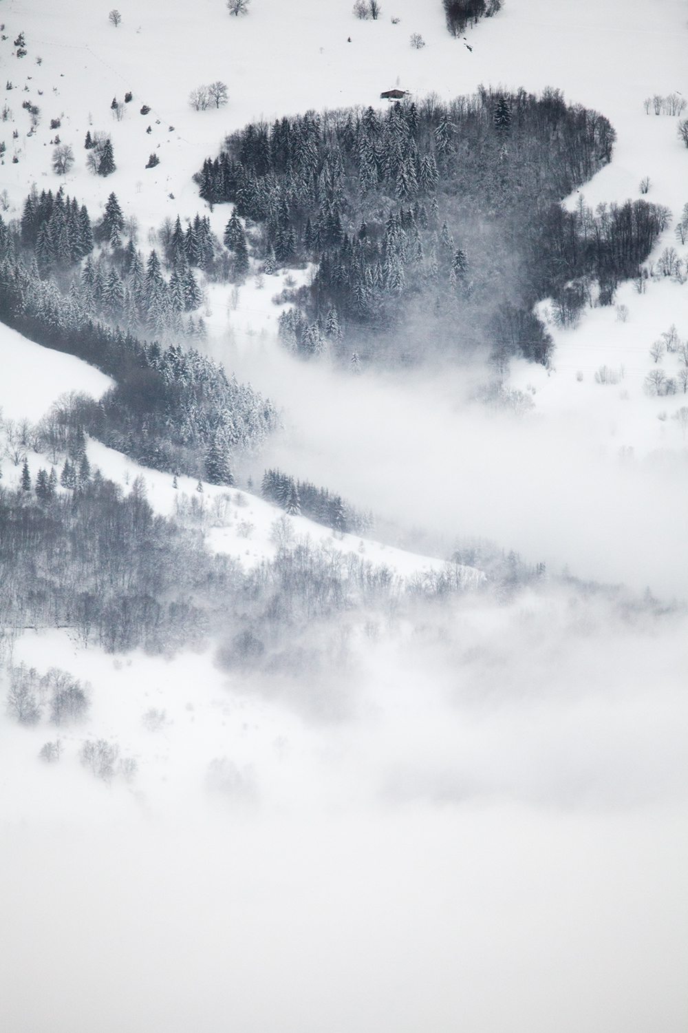 Hiver Couleur