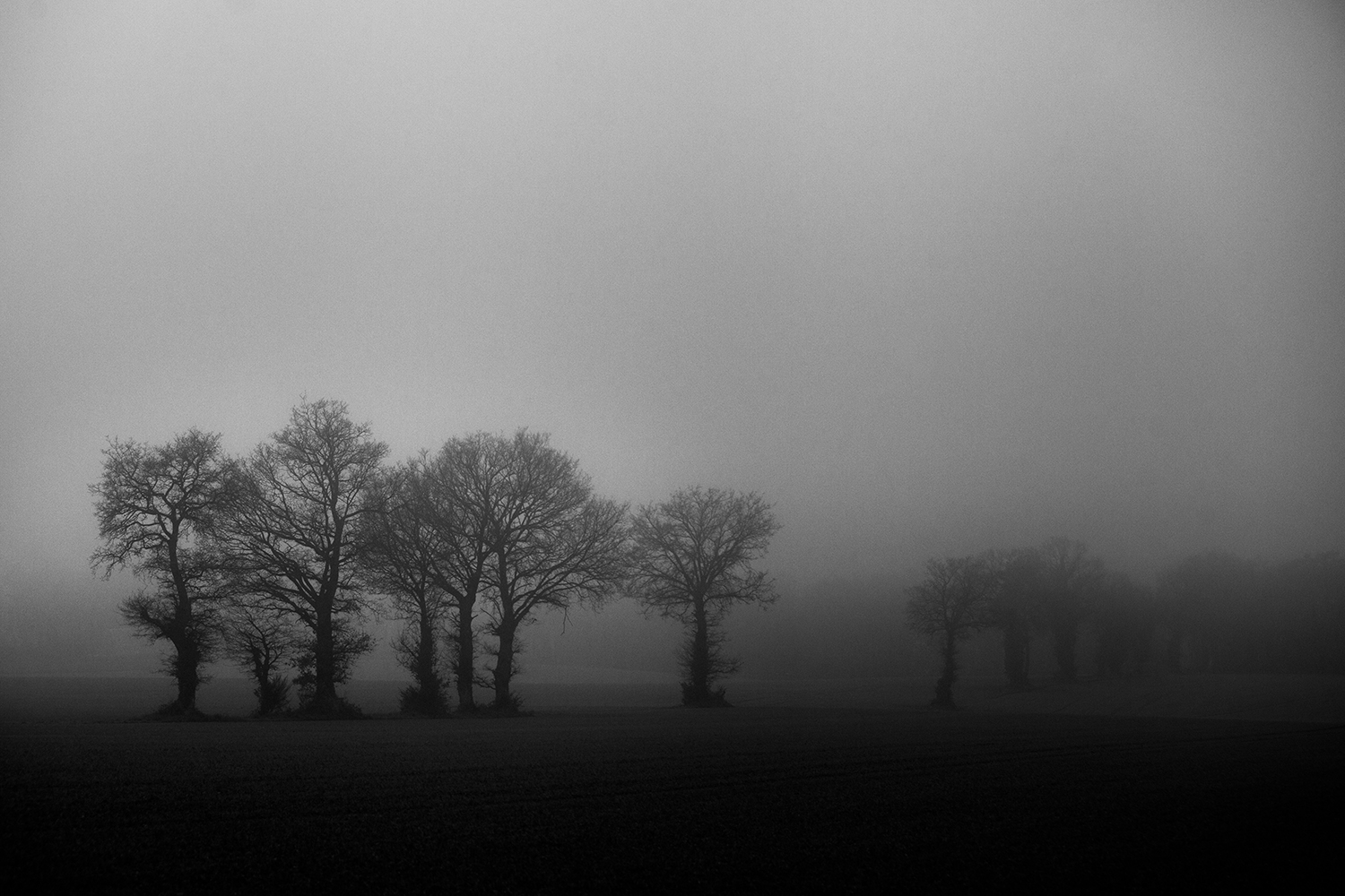 Hiver Noir et Blanc Hiver Noir et Blanc