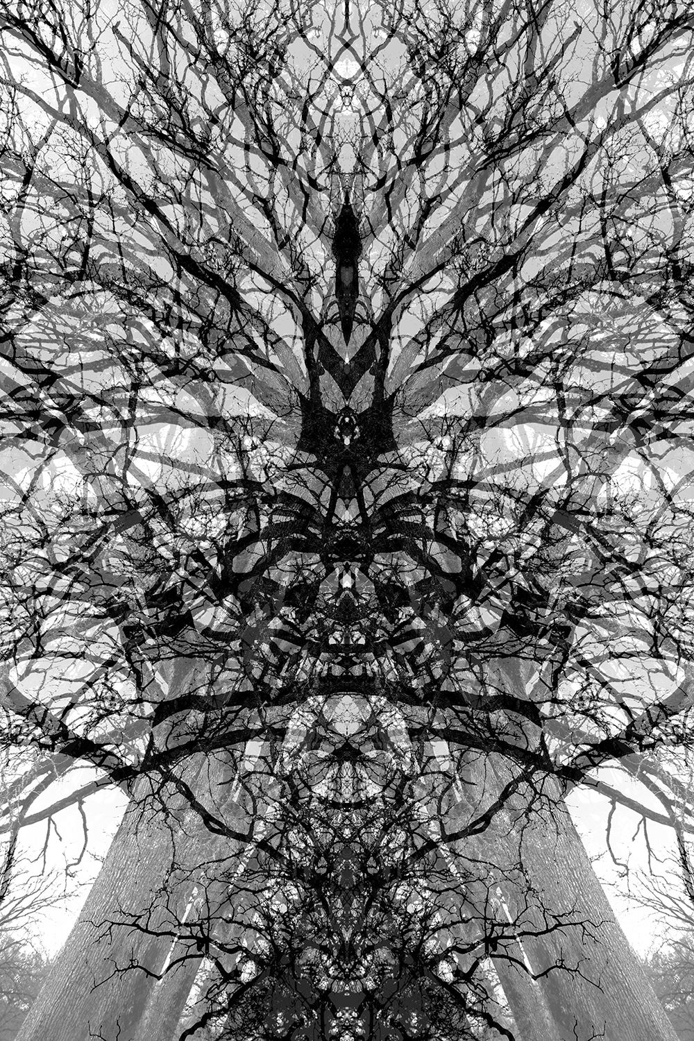 réalité(s) noir et blanc