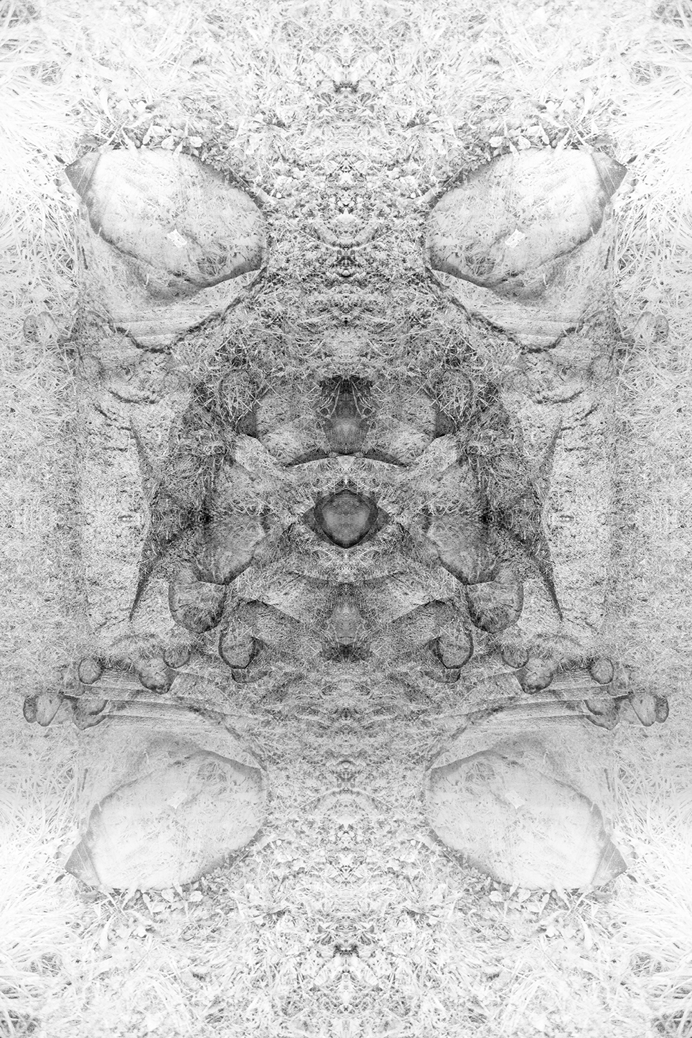 réalité(s) noir et blanc réalité(s) noir et blanc