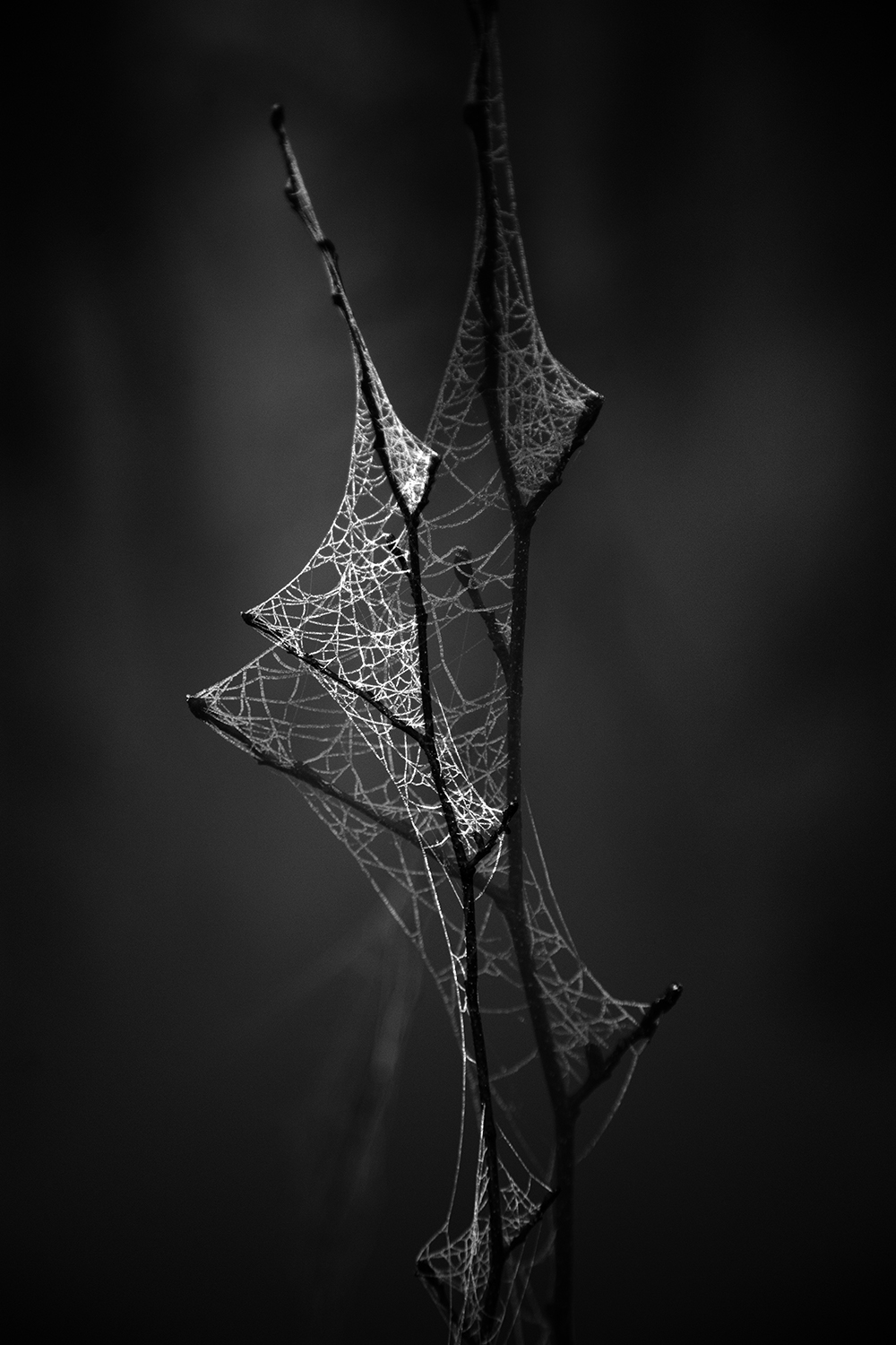 superpose noir et blanc superpose noir et blanc