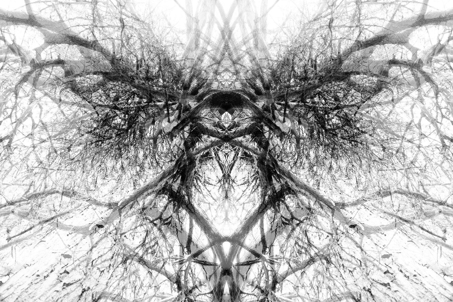 réalité(s) noir et blanc réalité(s) noir et blanc