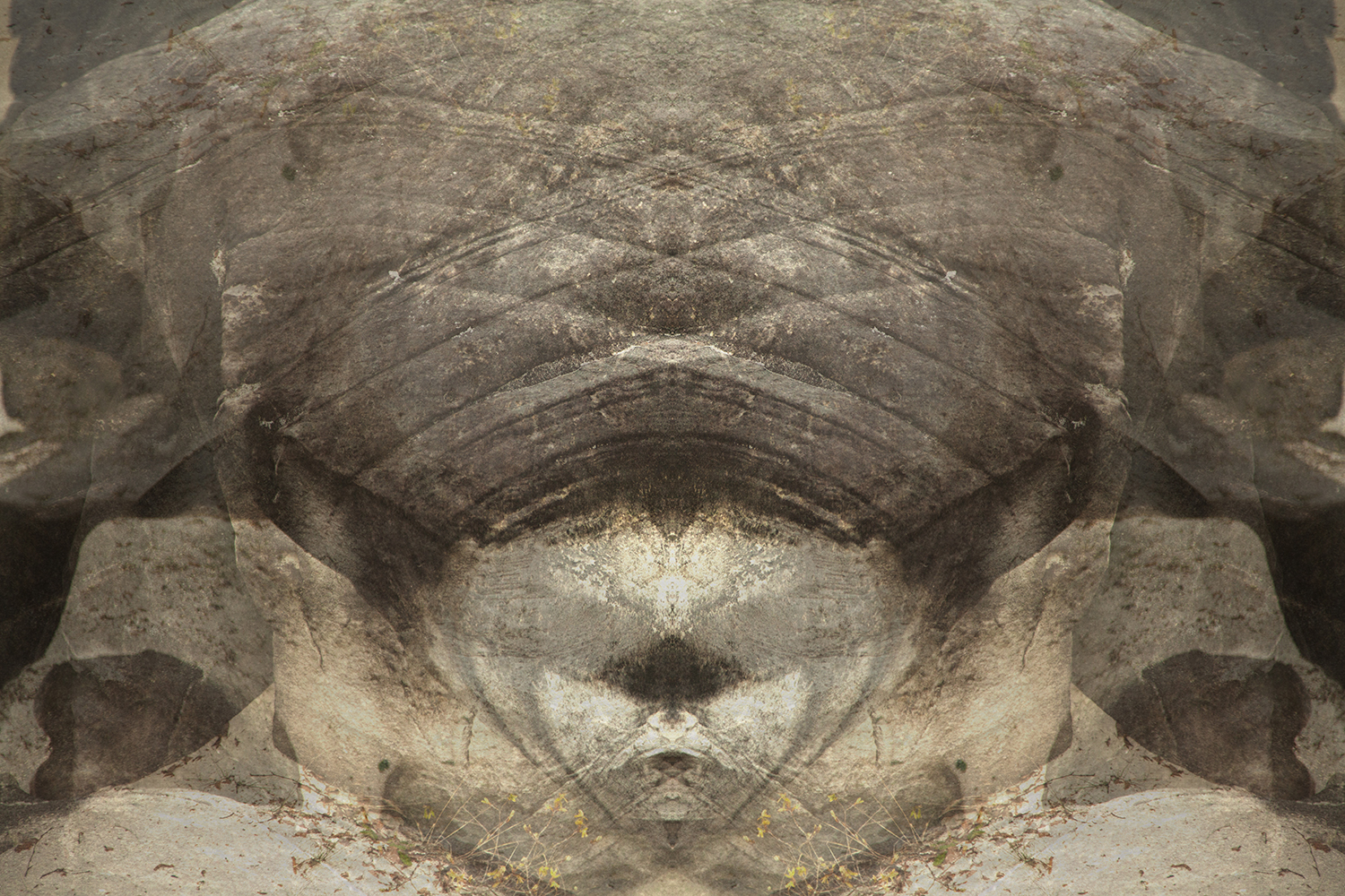 réalité(s) couleur