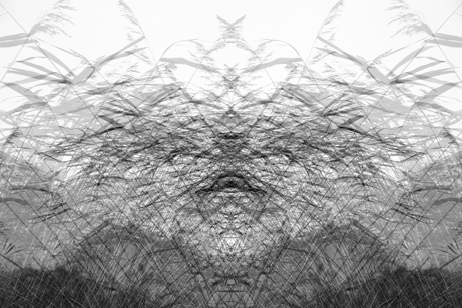 réalité(s) noir et blanc réalité(s) noir et blanc