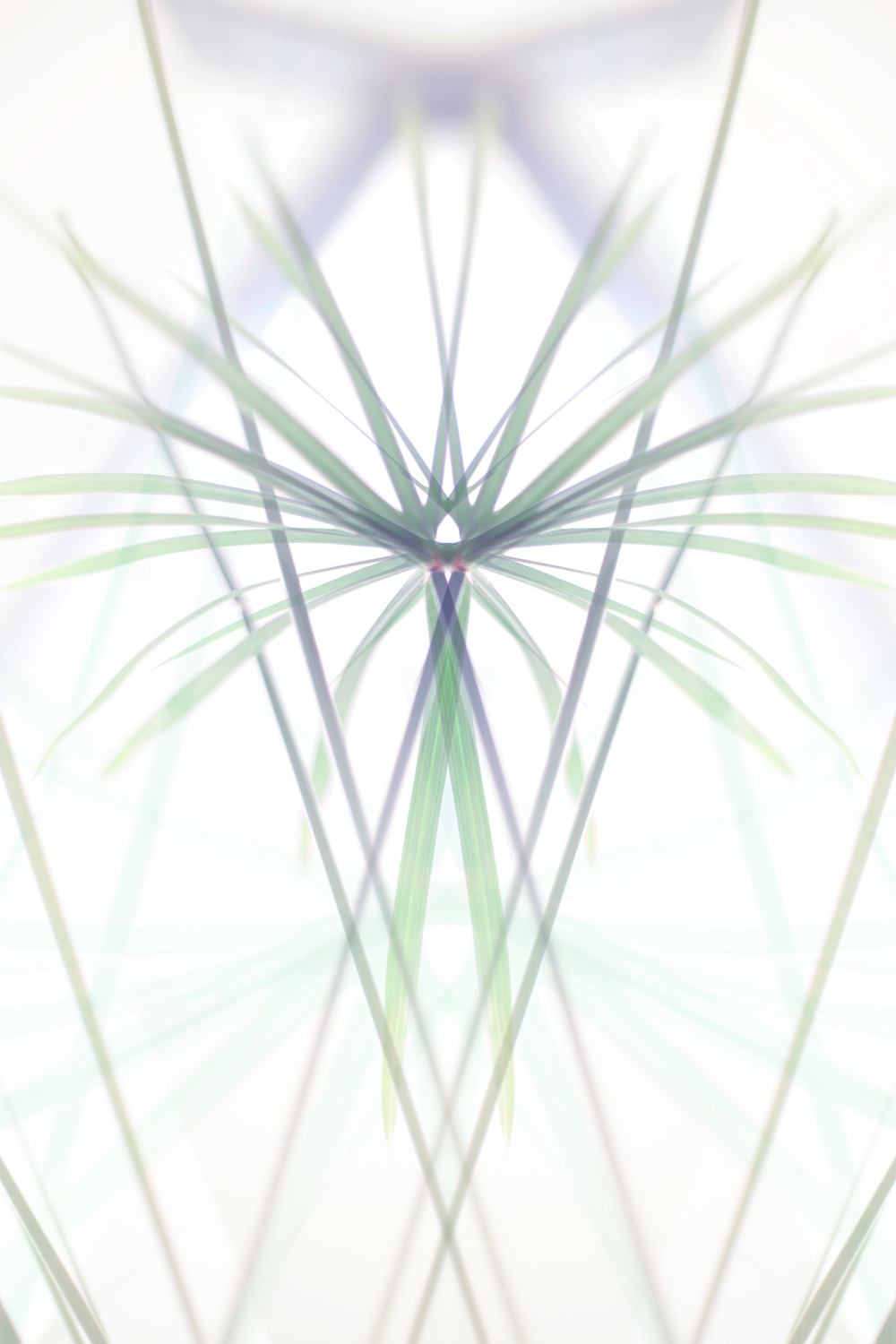 réalité(s) couleur