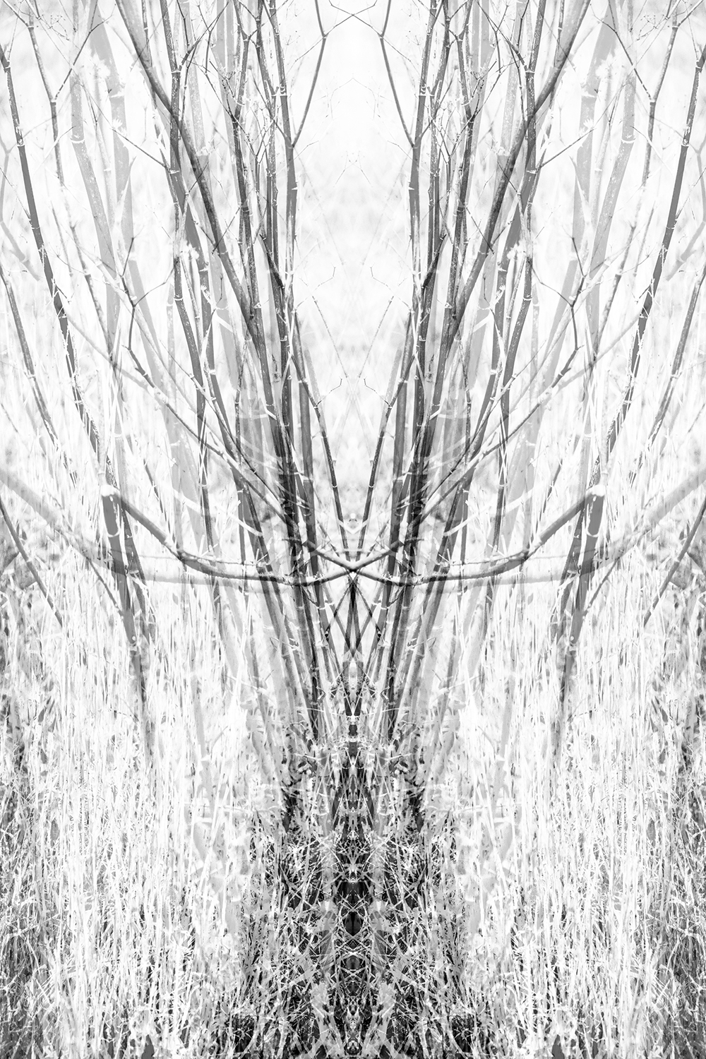 réalité(s) noir et blanc