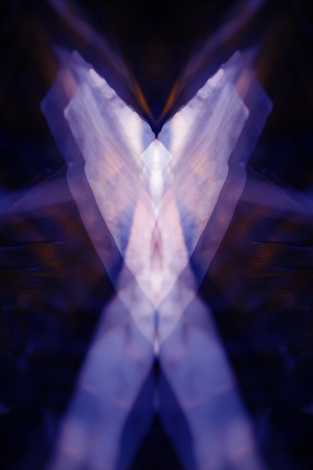 réalité(s) couleur réalité(s) couleur