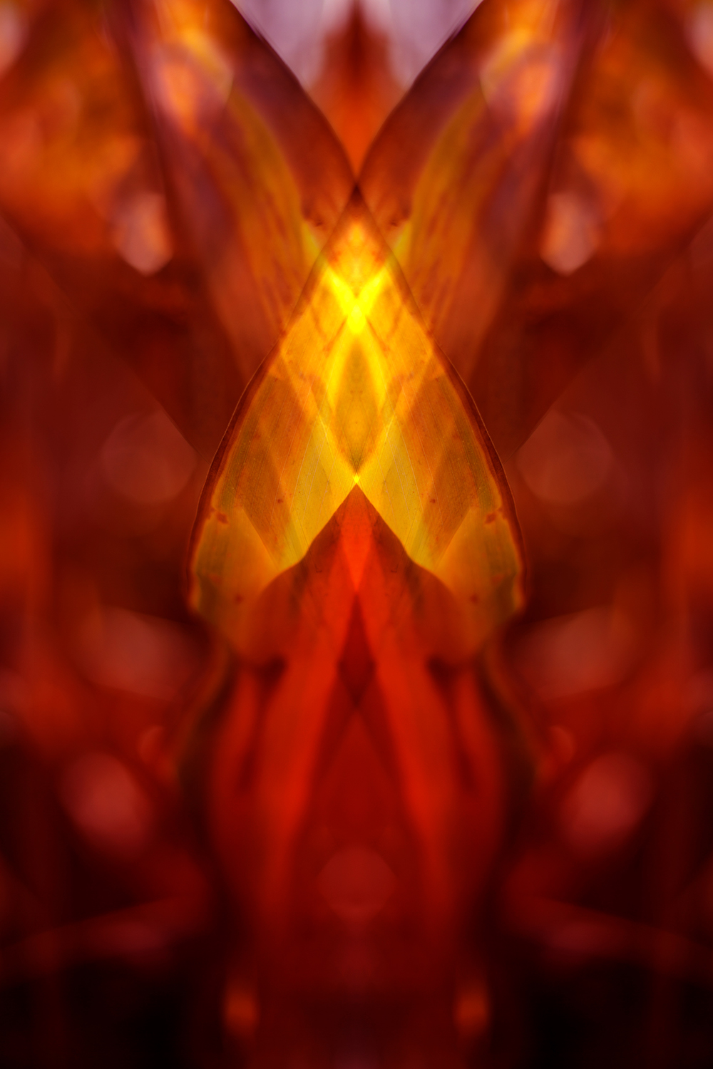 réalité(s) couleur