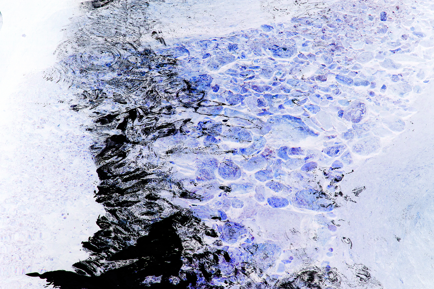 Negative Color Negative Color