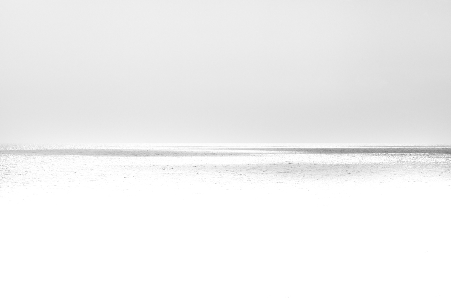 Blanc Brut Blanc Brut