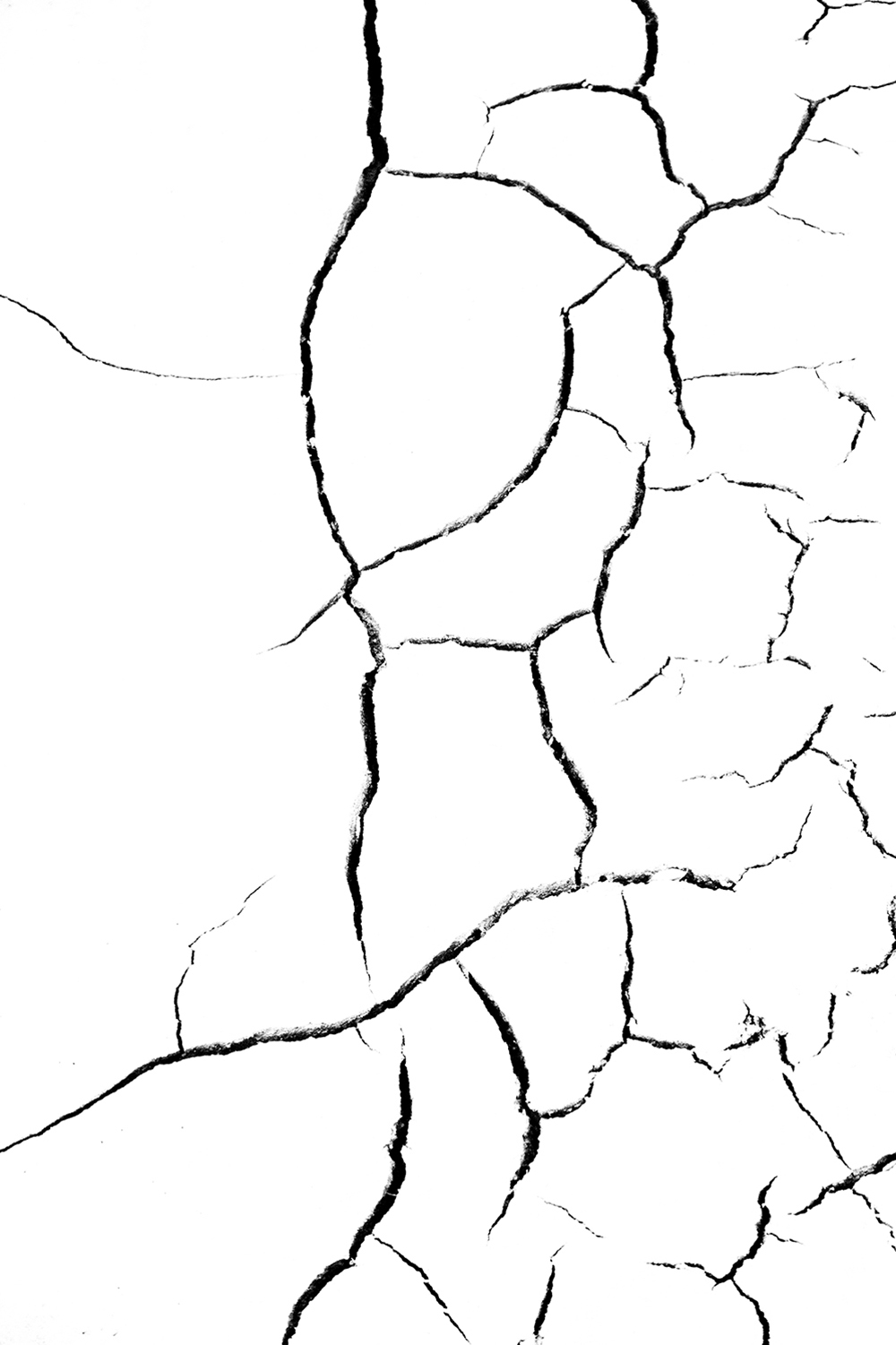 Blanc Brut Blanc Brut