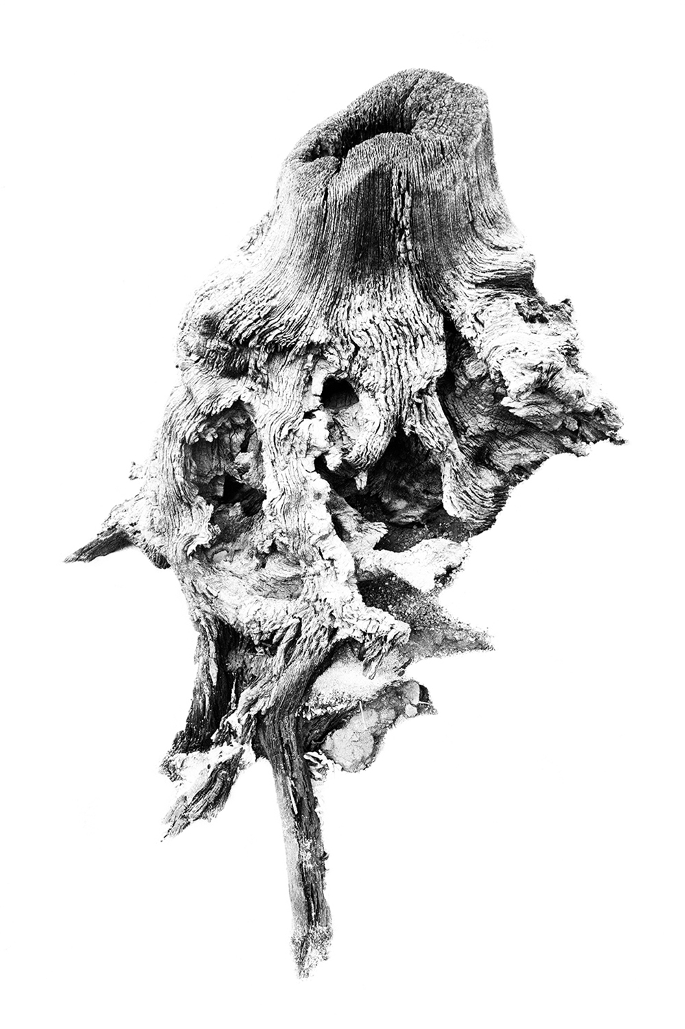 Blanc Brut Blanc Brut