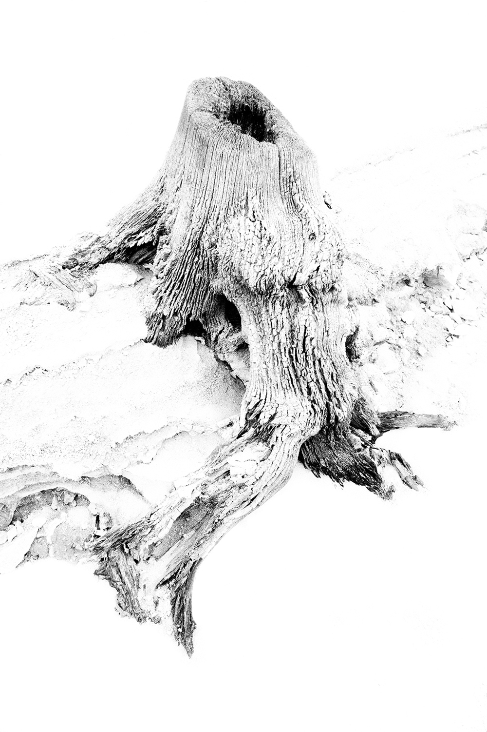 Blanc Brut Blanc Brut