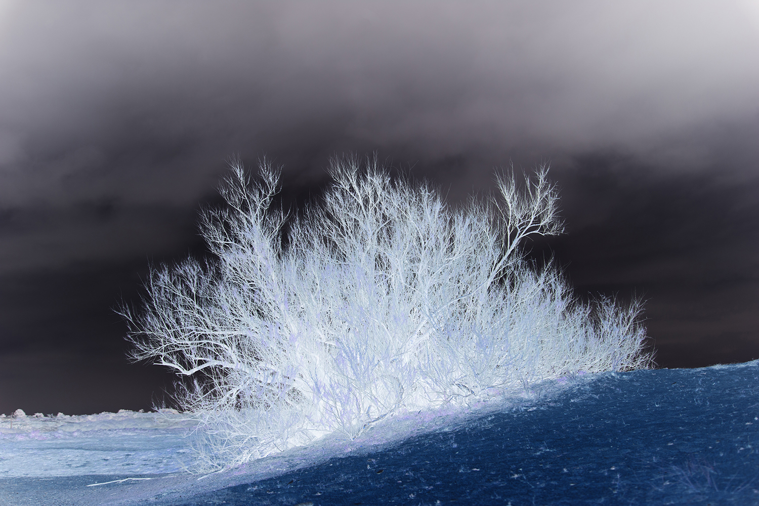 Negative Color Negative Color