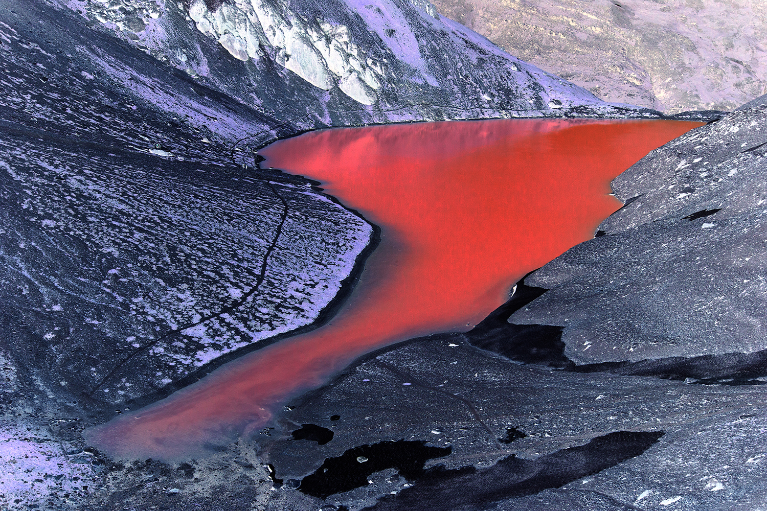 Negative Color Negative Color